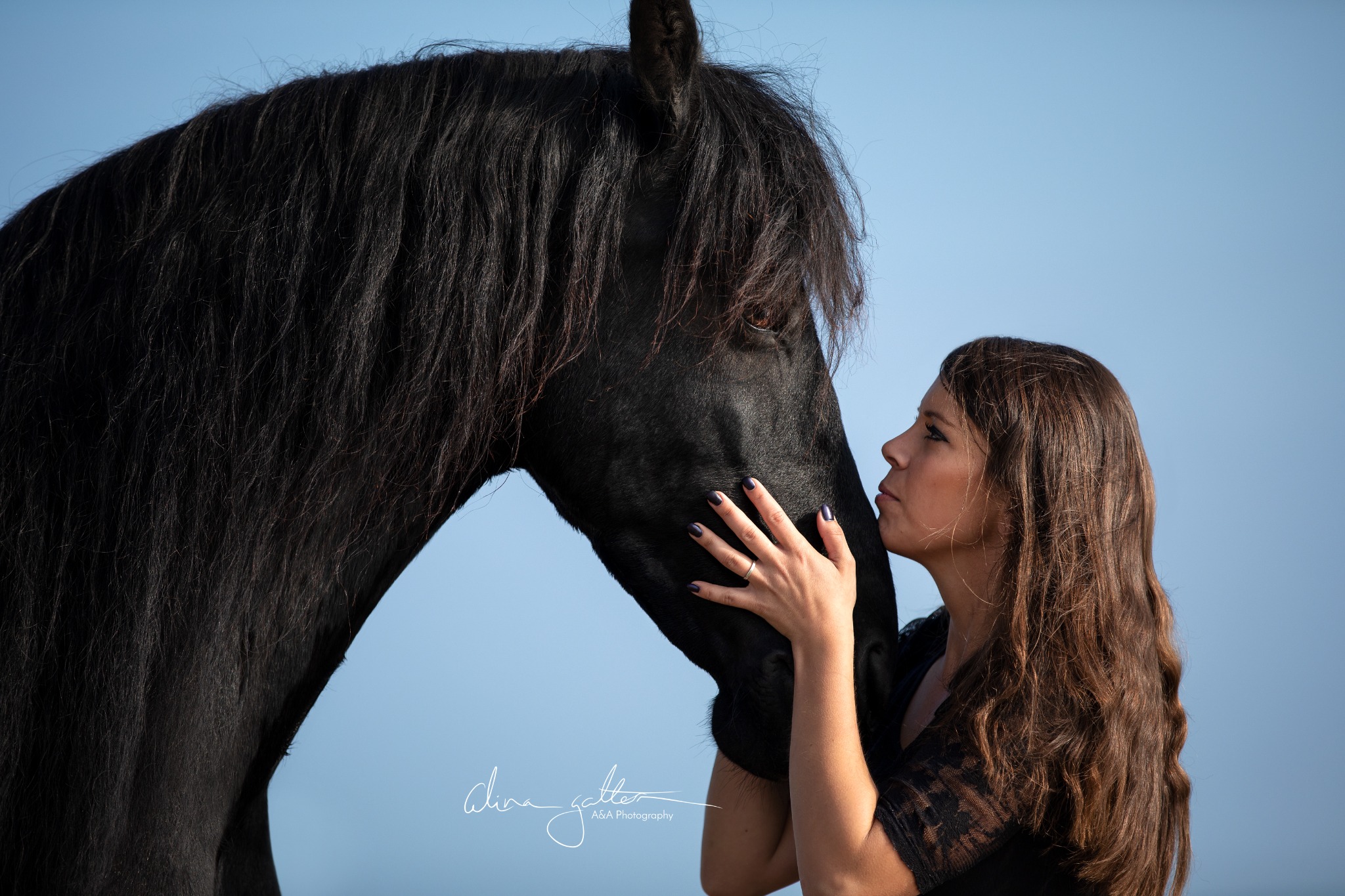 Tierärztin Svenja Jahn mit Pferd – mobile Fahrpraxis auf Rügen