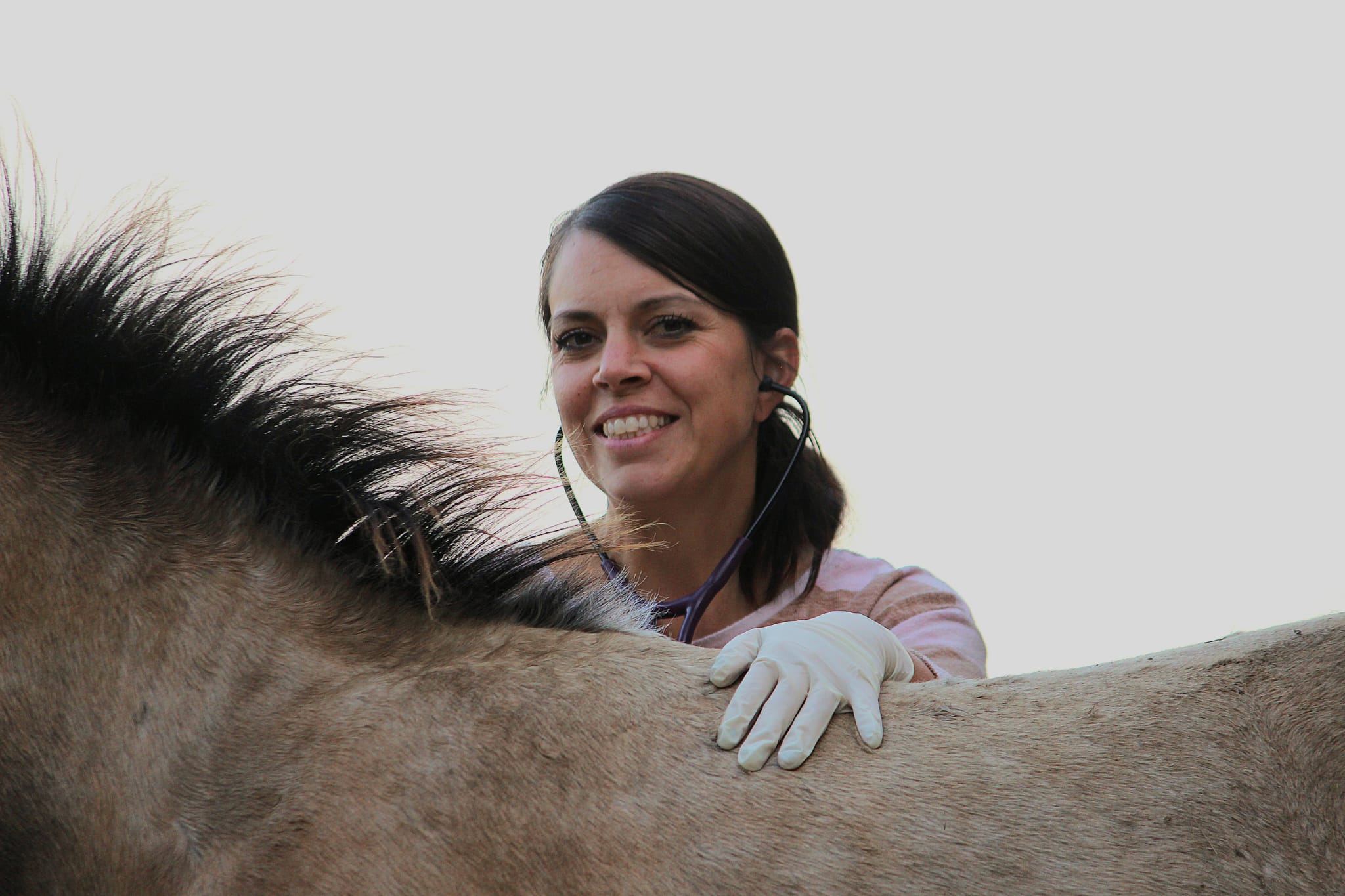 Ultraschall / Untersuchung im Einsatz